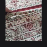 فروش‌قالی‌درحدنو|فرش|طرقبه, |دیوار