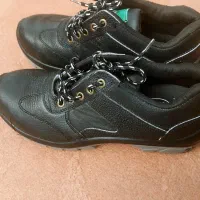 کفش ایمنی|کیف، کفش، کمربند|شوشتر, |دیوار