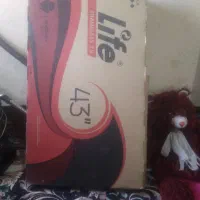 ال ای دی خشک بفروش می رسد