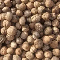 گردو تازه درجه یک   کاغذی روغنی درشت