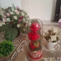 5 عدد گل های زیبا و رنگارنگ|گل مصنوعی|قزوین, |دیوار