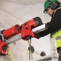 شرکت کرگیری گردبر امیری