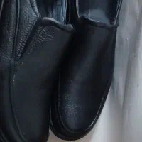 کفش|کیف، کفش، کمربند|فردیس, فردیس|دیوار