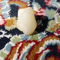 سنگ قیمتی|کلکسیون اشیاء عتیقه|تهران, مقدم|دیوار