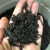 فروش چای درجه یک لاهیجان و برنج هاشمی گیلان|خوردنی و آشامیدنی|کرج, حصارک بالا|دیوار