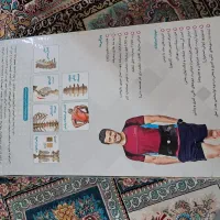 کمربند طبی کاملا کاملا نو نو|کیف، کفش، کمربند|قم, شاد قلی|دیوار