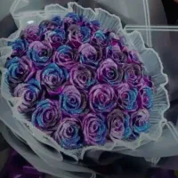 گل جاودان مناسبتی|گل مصنوعی|رامسر, |دیوار