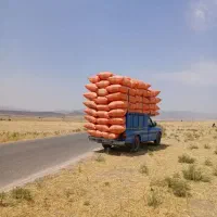 یونجه|لوازم جانبی حیوانات|قشم, |دیوار