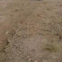 زمین باغی علویجه