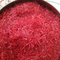 زعفران|خوردنی و آشامیدنی|بجنورد, |دیوار