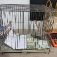 قفس پرنده|لوازم جانبی حیوانات|تهران, مسعودیه|دیوار