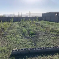 زمین ۱۰۰۰ متری دیوارکشی