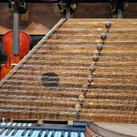 سنتور دومهر ویژه موسوی