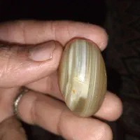 مهره سلیمانی کهنه درشت