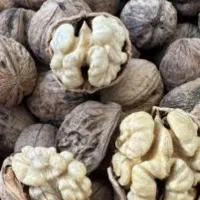 با کود کروا درآمدت رو دو برابر کن