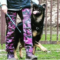 مربی و رفتاردرمان سگ . آموزش سگ کاملا تضمینی