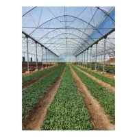 استخدام نیروی کار فوری