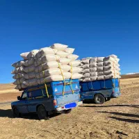 فروش کاه نرم سفید