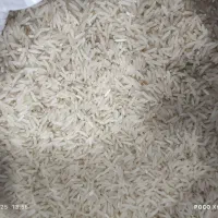 برنج فجر سوزنی ۹۰ روزه کاشت خودم|خوردنی و آشامیدنی|آق قلا, |دیوار