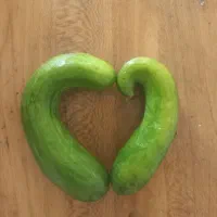 معاوضه سیم کارت دائمی ۱۵سال خاموش