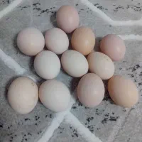 فروش فروش فروش فروش