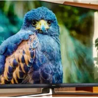 فروش تلویزیون LED ۵۵ اینچ 4K هایسنس داخل کارتن