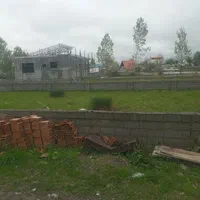 فروش زمین ۳۰۰ متری مسکونی|فروش زمین و ملک کلنگی|رویان, |دیوار