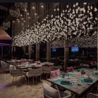 نیروی سالندار رستوران