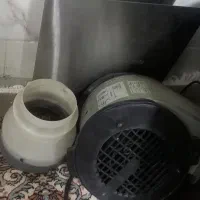 هود|هود|مشهد, پنجتن|دیوار