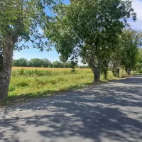 زمین مناسب ویلا.مسکونی تجاری