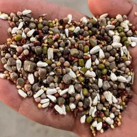 فروشگاه آنلاین انواع دان پرندگان نصیری