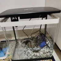 اکواریوم