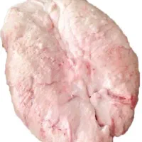 دنبه تازه بدون مو کشتار روز کیلو345