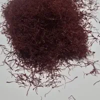 زعفران اعلا بکر و ناب