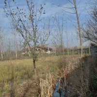 فروش زمین باغی