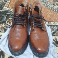 کفش|کیف، کفش، کمربند|سلماس, |دیوار