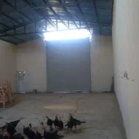 فروش سوله ۲۰۰متری|فروش دفتر صنعتی، کشاورزی، تجاری|ملایر, |دیوار