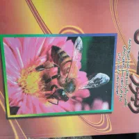 کتابهای دامپروری و کشاورزی زیرقیمت بازار