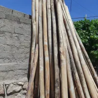 خریدار انواع چوب بابالاترین قیمت|خدمات باغبانی و درختکاری|کرمانشاه, |دیوار