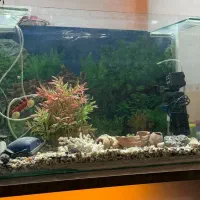 اکواریوم کامل