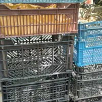 سبد میوه|ظروف نگهدارنده، پلاستیکی، یک‌بارمصرف|شیراز, شهرک والفجر|دیوار