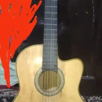 گیتار معمولی