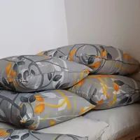 بالش
