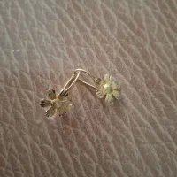 طلا|جواهرات|دورود, |دیوار