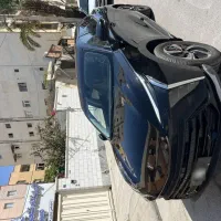 لاماری هیبرید