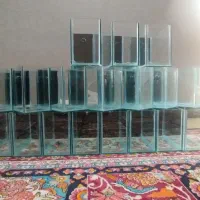 آکواریوم مخصوص ماهیان زینتی