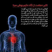 خدمات حجامت ،بادکش و ماساژ درمانی|خدمات آرایشگری و زیبایی|زابل, |دیوار