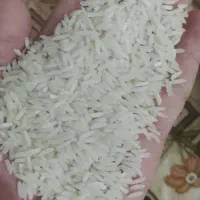 برنج درجه یک طارم
