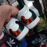 zx5000|کیف، کفش، کمربند|تهران, شکوفه (عبدل آباد)|دیوار