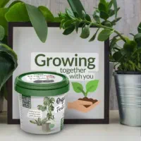 قرص کود گیاهی|گل و گیاه طبیعی|شهریار, شهرک وائین|دیوار